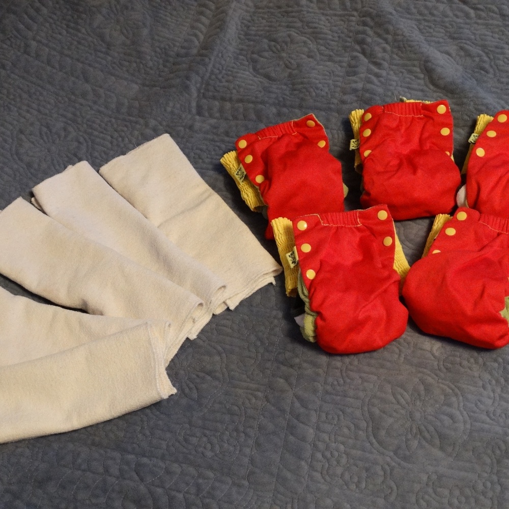 COPY - 6 Antsy Pants Pull-ups size 2T and 5 inser…